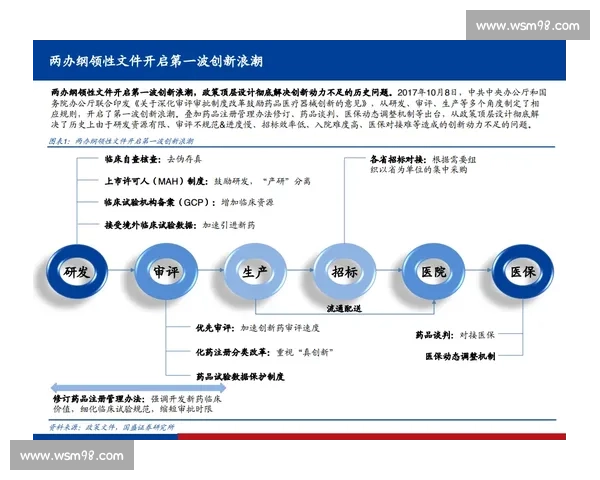 足球产业多元化资本运作与融资创新实施方案研究战略规划与风险控制路径