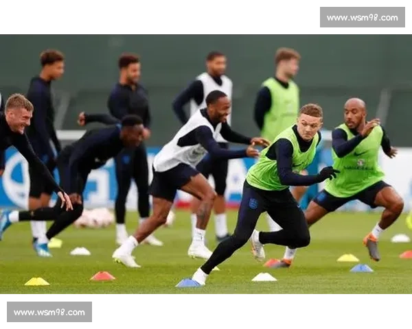 科学高效的全身训练计划与周期性进阶方案解析